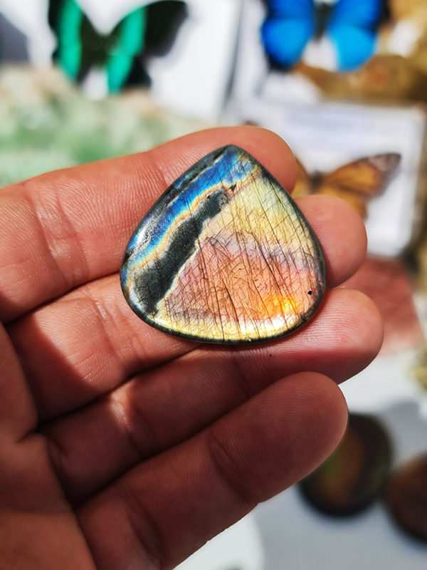 cabochon de Labradorite multicolore